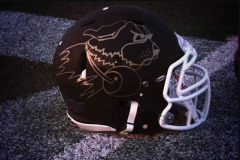 Copy of 2018 St Francis Fighting Saints Copy of 2018 St Francis Fighting Saints