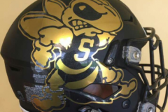 Copy of 2018 West Virginia State University Copy of 2018 West Virginia State University