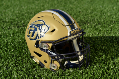 Copy of Eastern - Gallaudet Bison - school provided Copy of Eastern - Gallaudet Bison - school provided