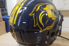 Copy of NJAC - The College of New Jersey Lions - school provided Copy of NJAC - The College of New Jersey Lions - school provided